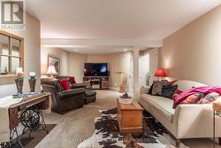 Lower Level - Rec Room -