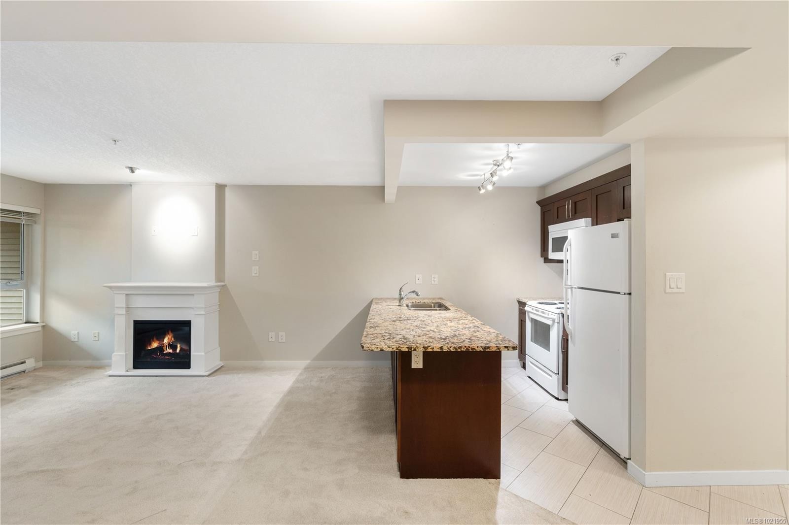 202-5670 Edgewater Lane, Nanaimo, BC - Indoor With Fireplace