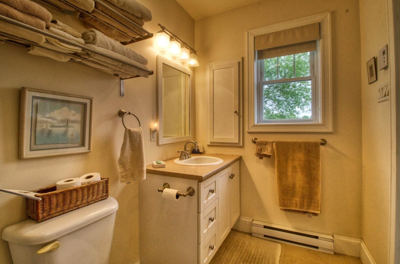 Ensuite bathroom - 60 Rue Lambton, Ormstown, QC - Indoor Photo Showing Bathroom