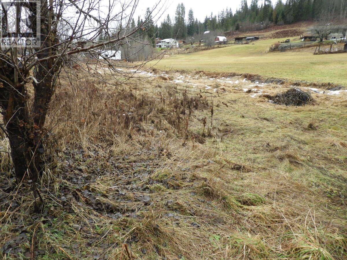 6904 Highway 6, Appledale, BC - Outdoor With View