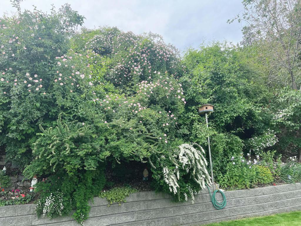 3-12612 Giants Head Road, Summerland, BC - Outdoor