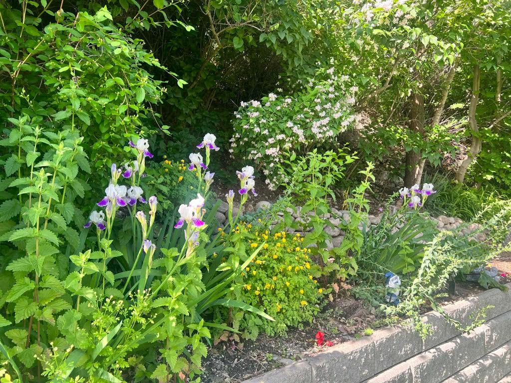 3-12612 Giants Head Road, Summerland, BC - Outdoor