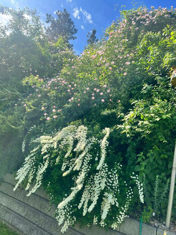 3-12612 Giants Head Road, Summerland, BC - Outdoor