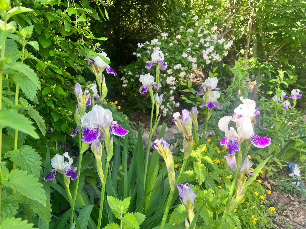 3-12612 Giants Head Road, Summerland, BC - Outdoor