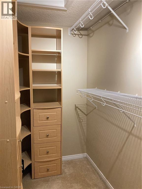 Spacious closet with light carpet - 421 White Birch Avenue, Waterloo, ON - Indoor With Storage