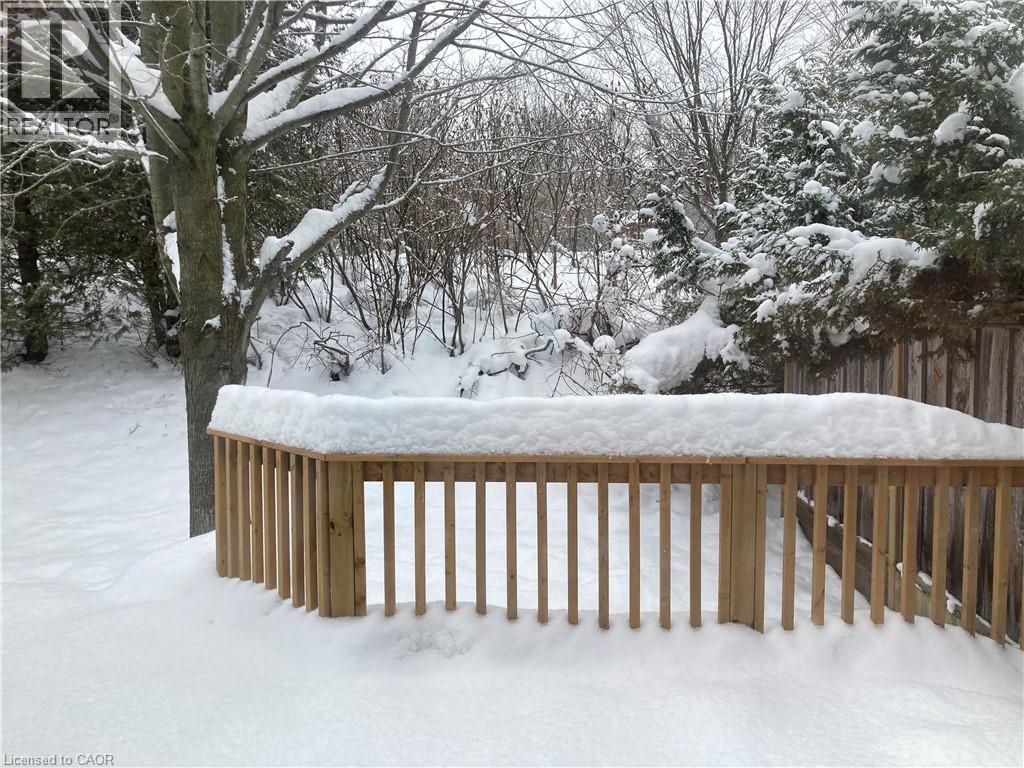 View of yard covered in snow - 421 White Birch Avenue, Waterloo, ON - Outdoor