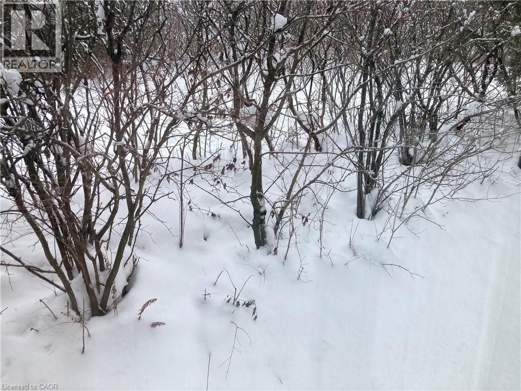 View of nature - 421 White Birch Avenue, Waterloo, ON - Outdoor With View