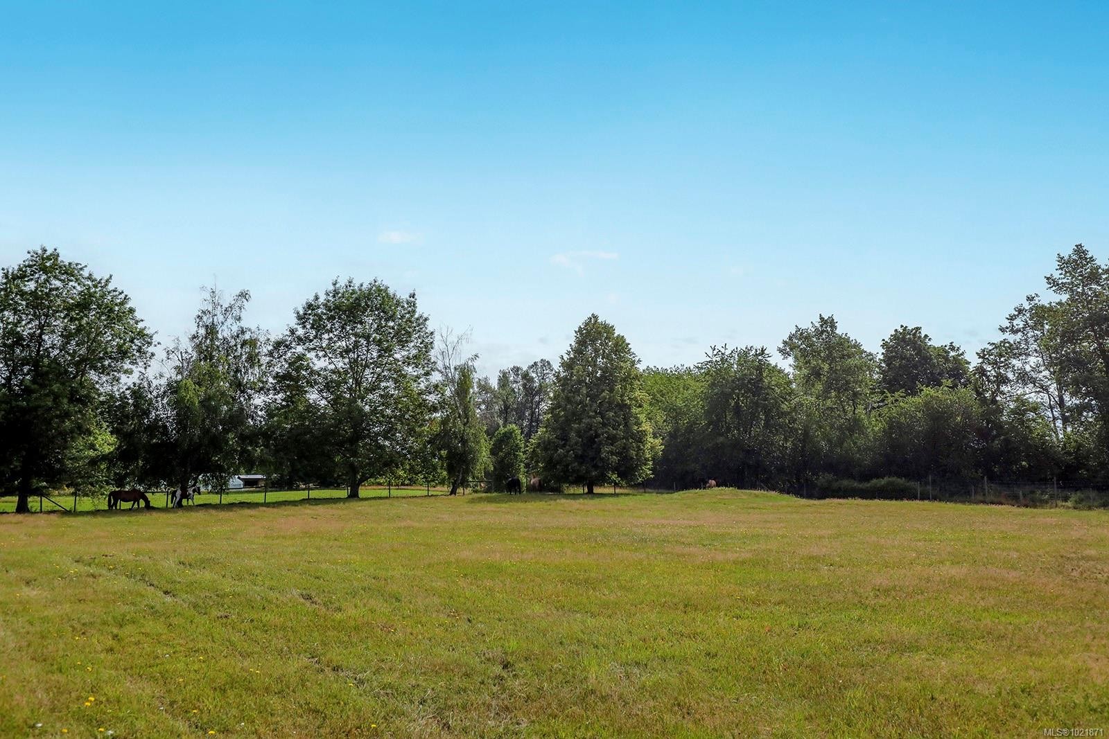 3713 Dove Creek Rd, Courtenay, BC