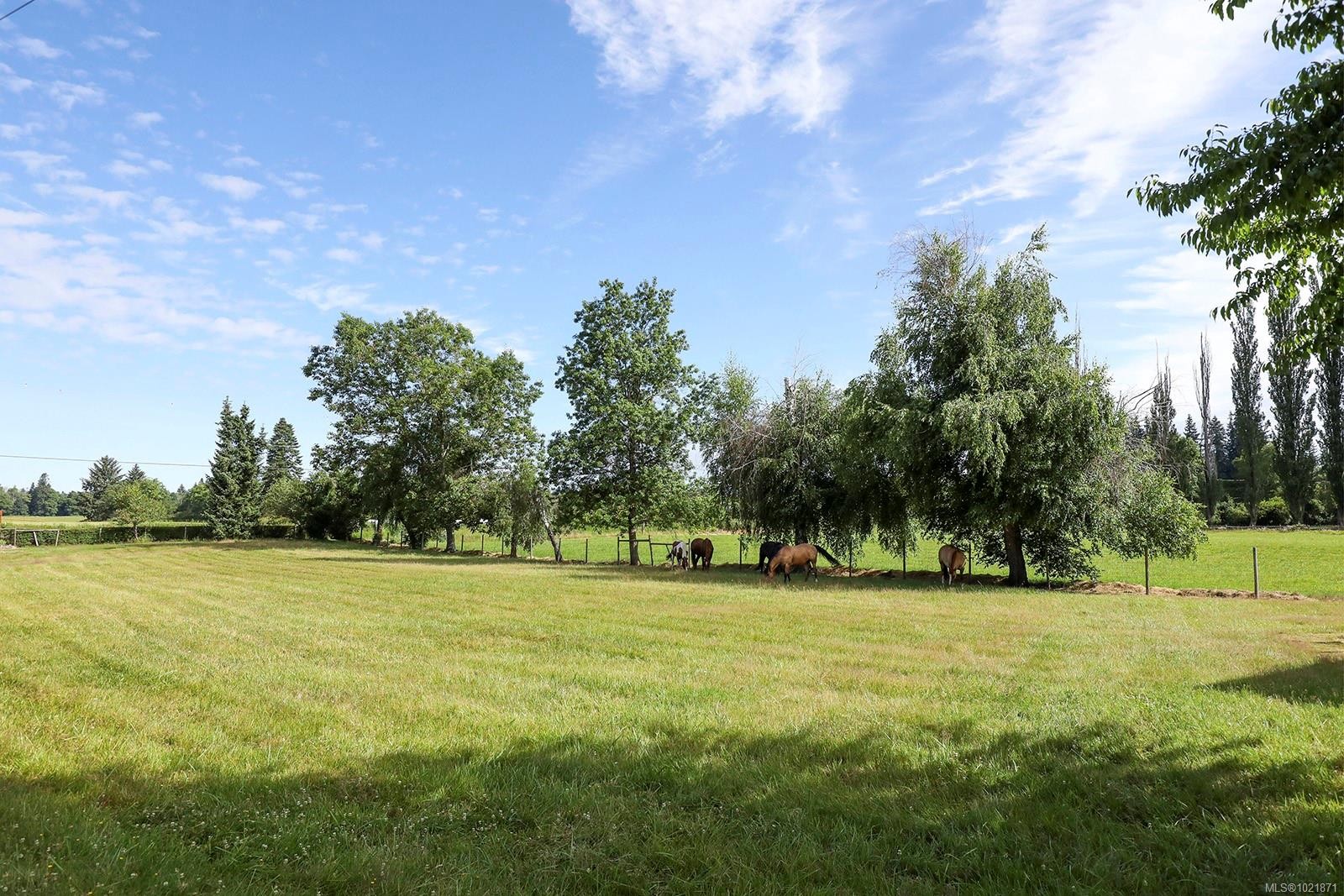 3713 Dove Creek Rd, Courtenay, BC