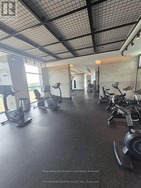 109 - 251 Manitoba Street, Toronto (Mimico), ON - Indoor Photo Showing Gym Room