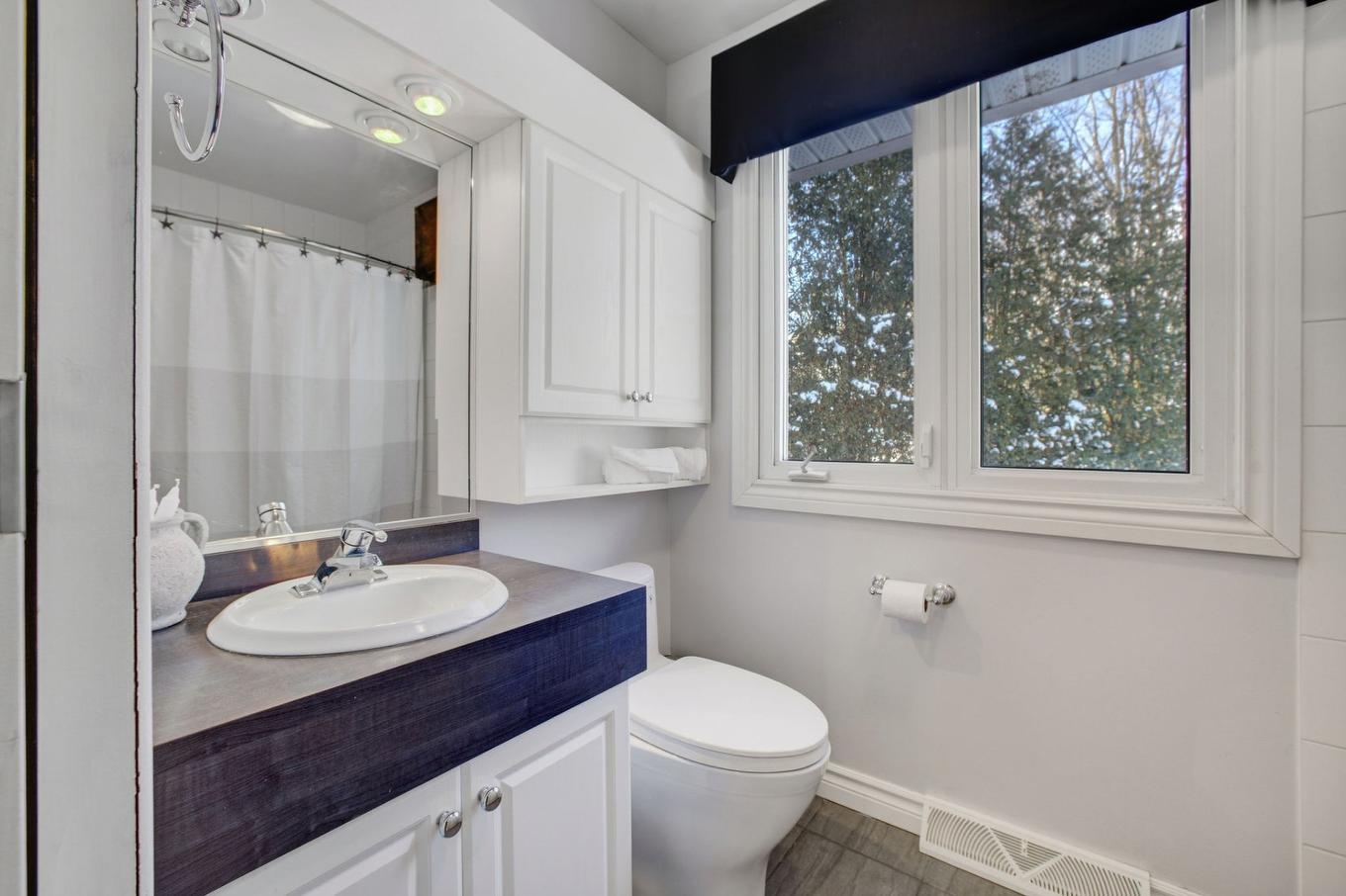 Salle de bains - 16 Rue De Biscaye, Gatineau (Aylmer), QC - Indoor Photo Showing Bathroom