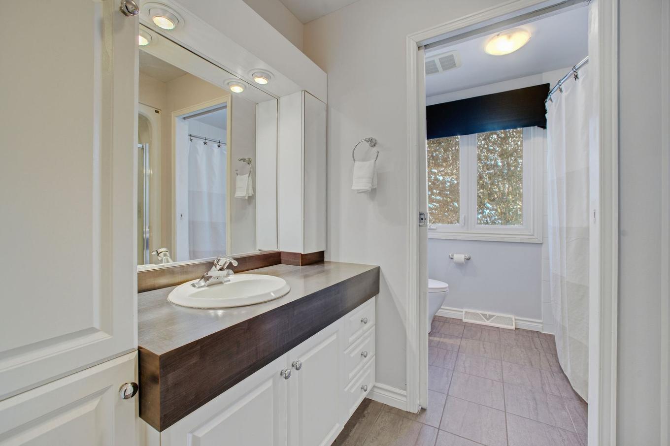 Salle de bains - 16 Rue De Biscaye, Gatineau (Aylmer), QC - Indoor Photo Showing Bathroom