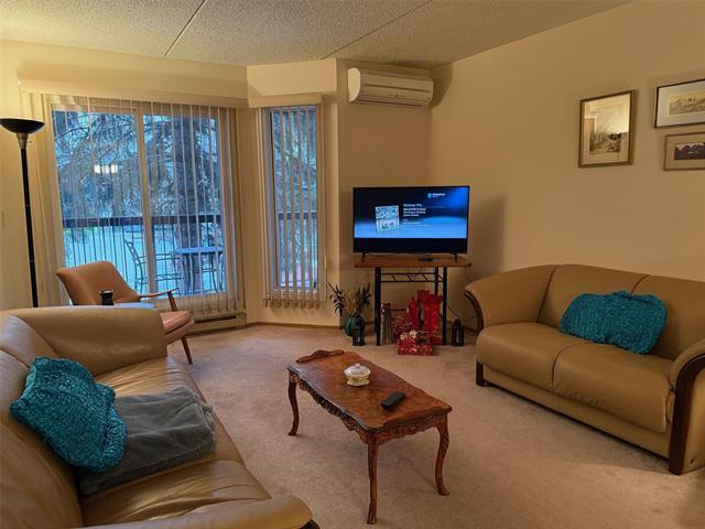 207-173 Watson St, Winnipeg, MB