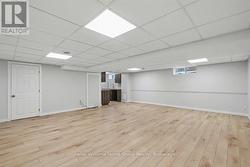 Basement Living room -