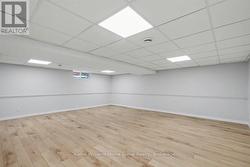 Basement Living room -