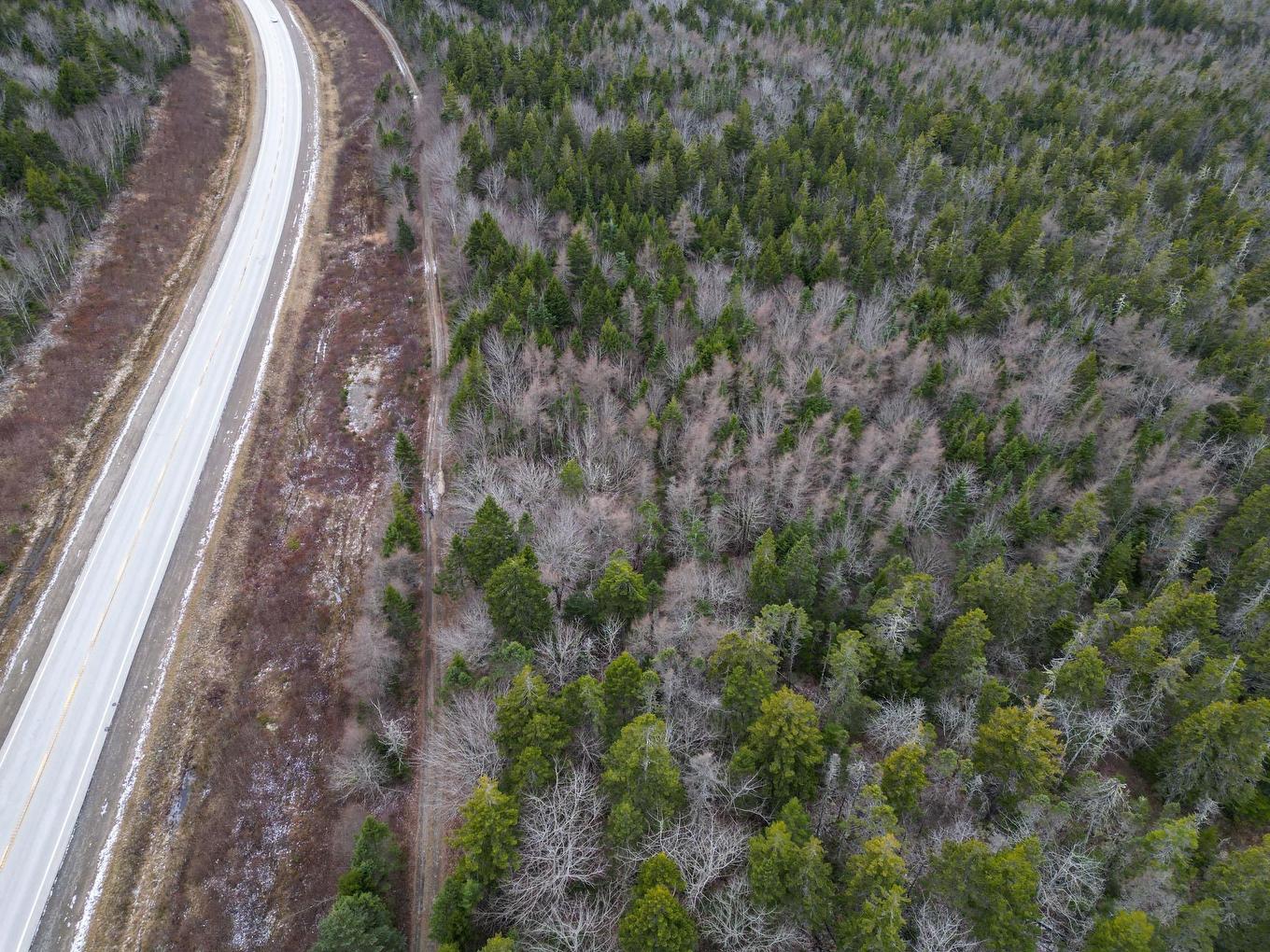 Lot Highway 101, St. Alphonse, NS