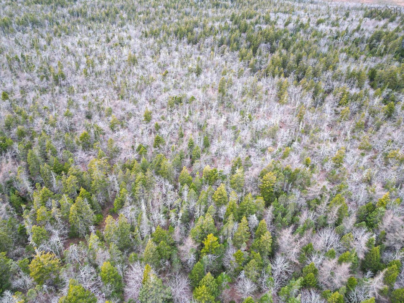 Lot Highway 101, St. Alphonse, NS