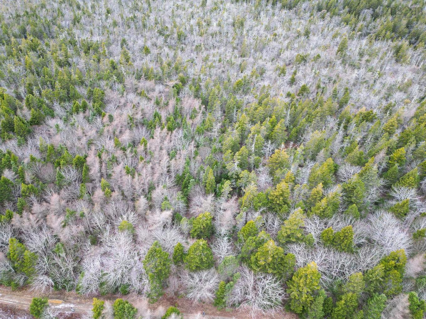 Lot Highway 101, St. Alphonse, NS