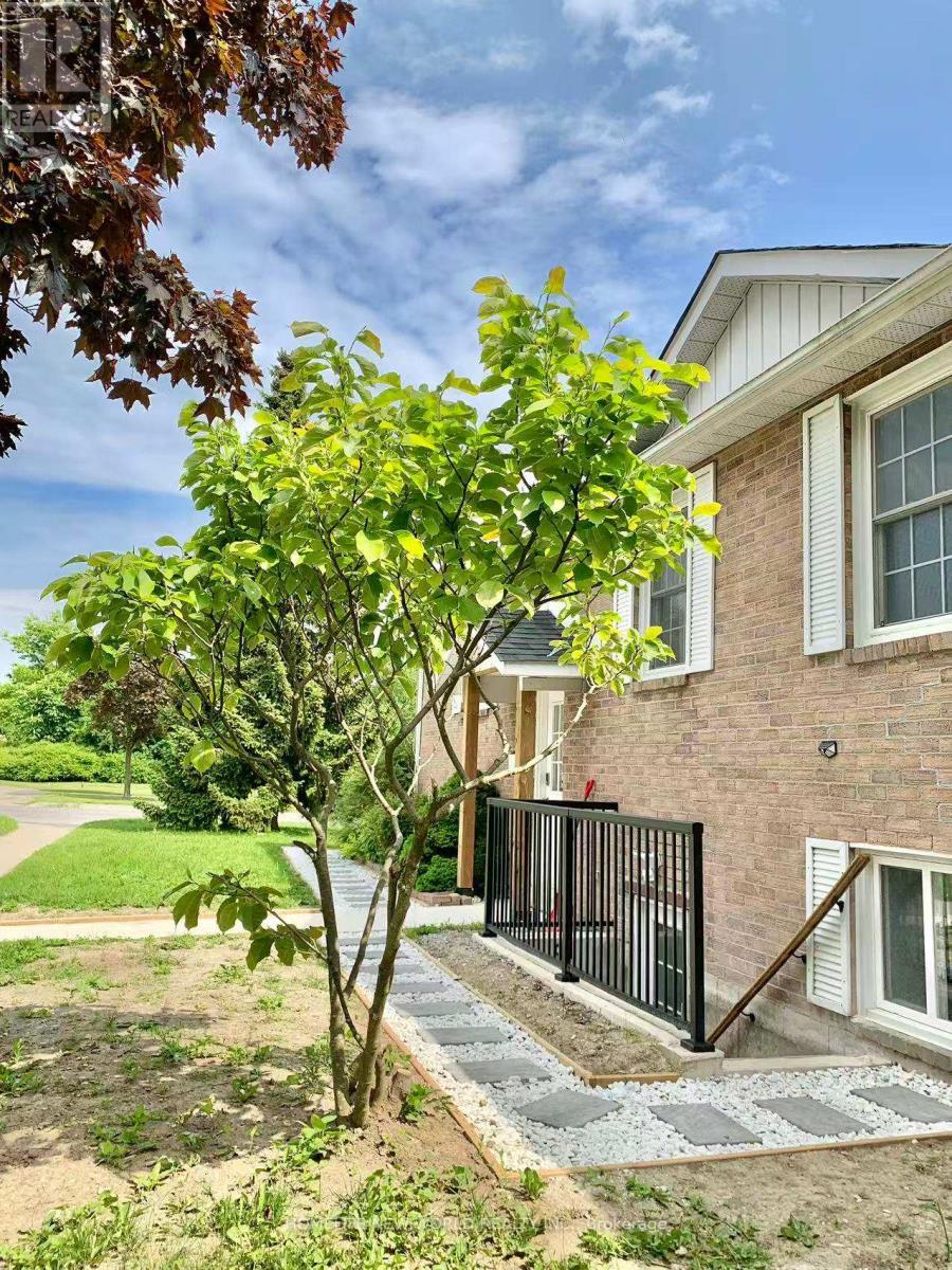 Basement - 856 Finley Avenue, Ajax, ON - Outdoor