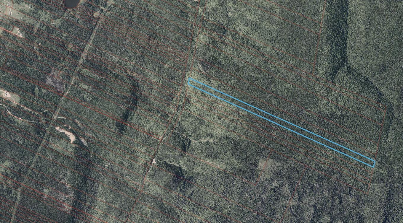 Cabot Trail, Cap Le Moine, NS