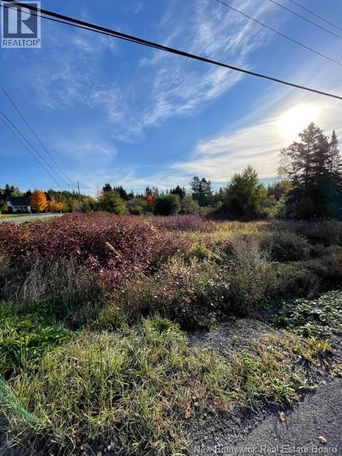 16 Leonard Street, Dundee, NB