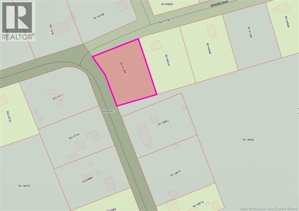 16 Leonard Street, Dundee, NB