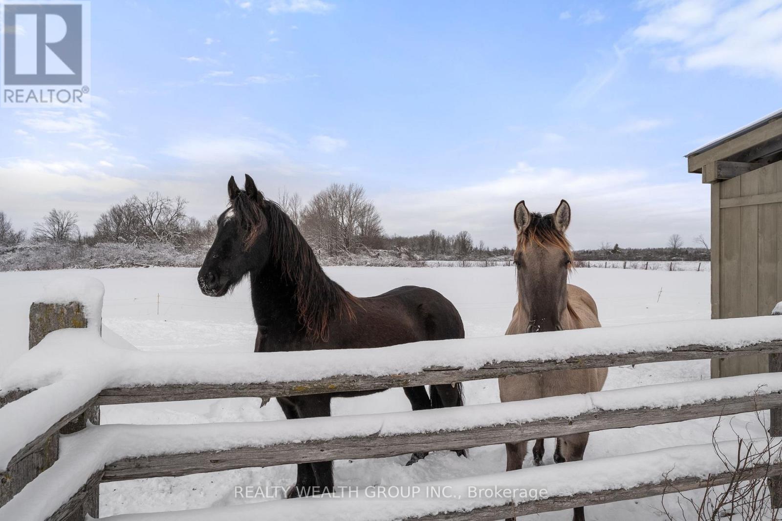 1201 Salem Road, Kawartha Lakes, ON - Outdoor