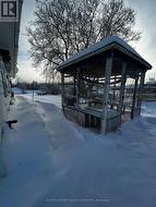 backyard with cat area -