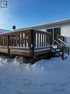 newer back deck -