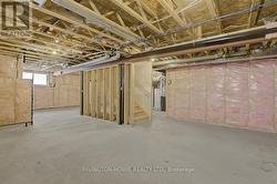 Lower level unfinished basement -