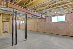 Lower level unfinished basement -
