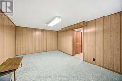 Large basement bedroom with storage -