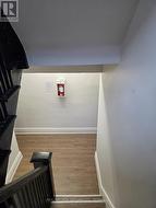 Freshly Painted halls -