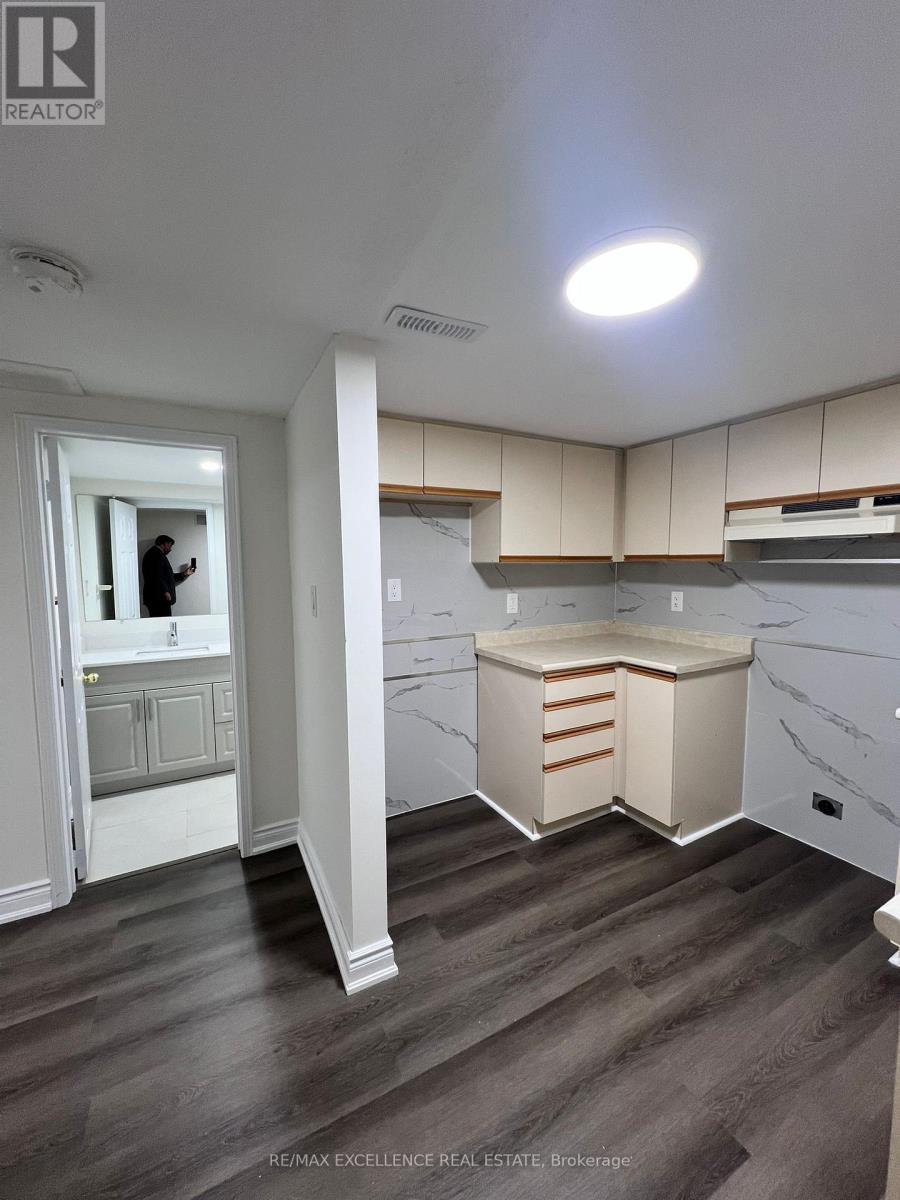 Basement - 24 Billingsley Court, Brampton, ON - Indoor Photo Showing Kitchen