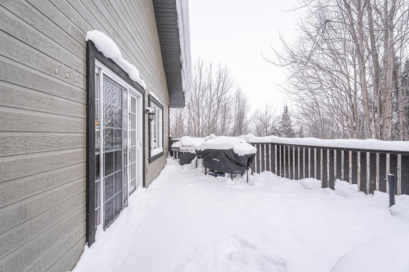 Patio - 1393 Rue Des Tulipes, Sainte-Agathe-Des-Monts, QC - Outdoor With Exterior