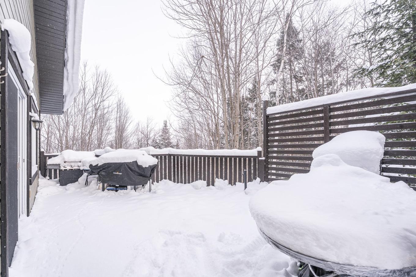 Patio - 1393 Rue Des Tulipes, Sainte-Agathe-Des-Monts, QC - Outdoor