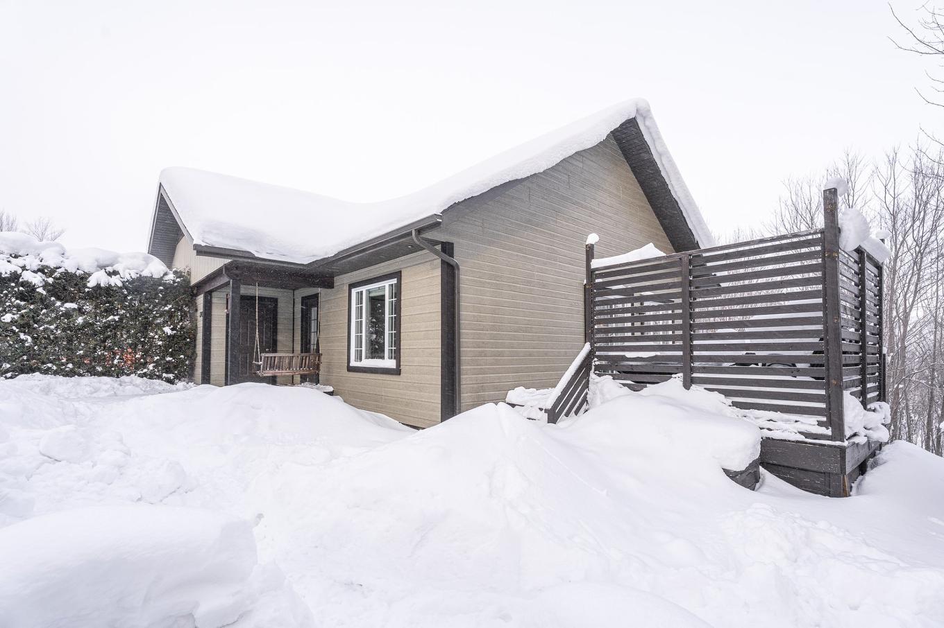 Back facade - 1393 Rue Des Tulipes, Sainte-Agathe-Des-Monts, QC - Outdoor