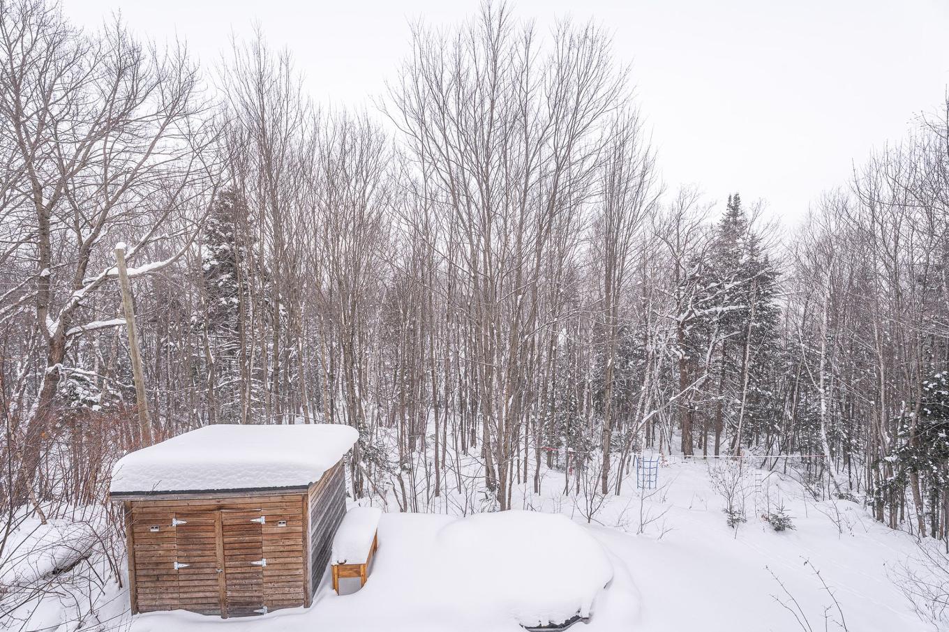 Land/Lot - 1393 Rue Des Tulipes, Sainte-Agathe-Des-Monts, QC - Outdoor