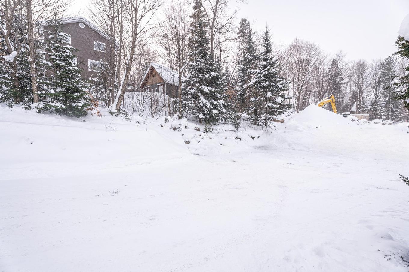 Land/Lot - 1393 Rue Des Tulipes, Sainte-Agathe-Des-Monts, QC - Outdoor With View