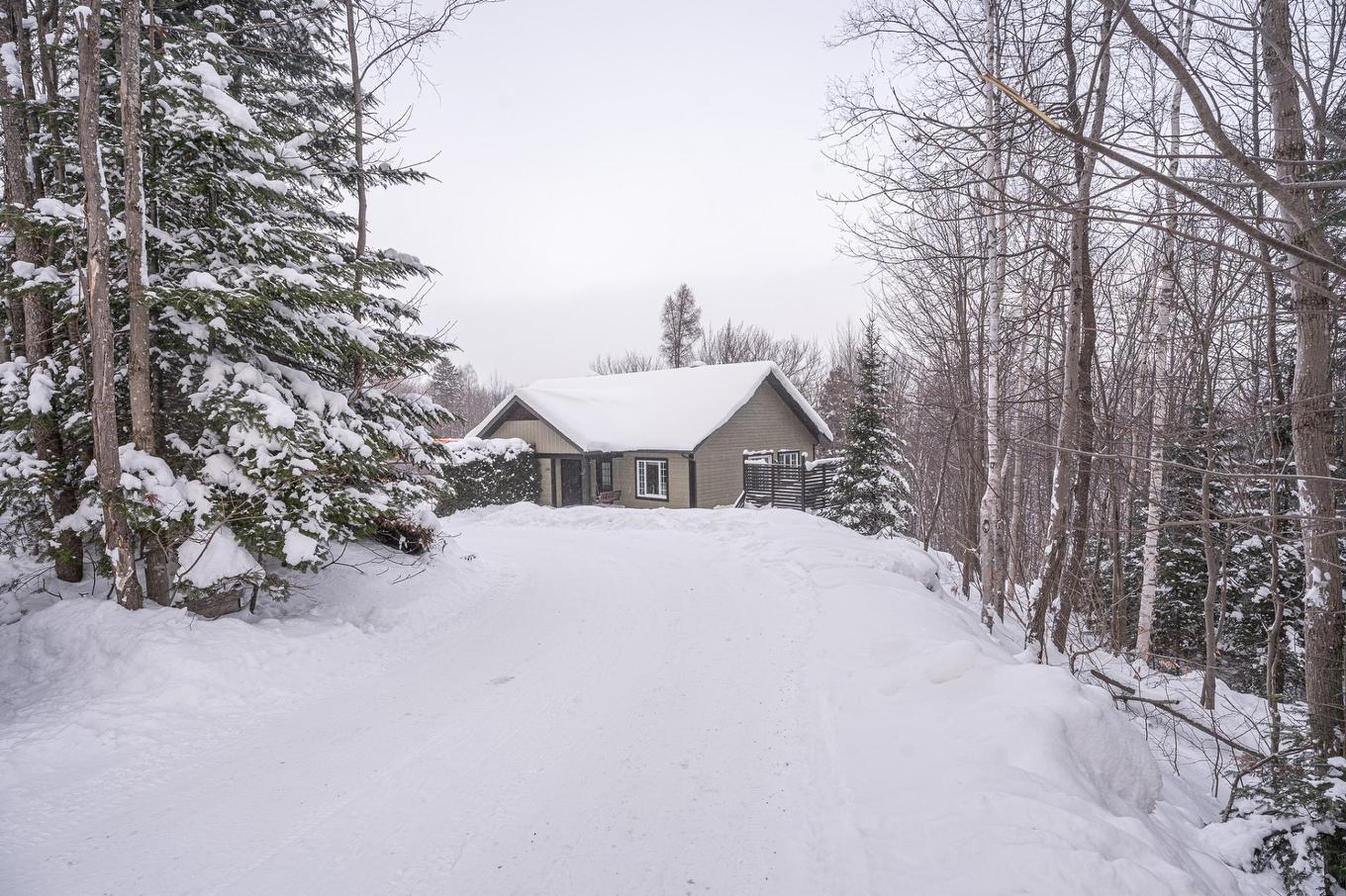 Frontage - 1393 Rue Des Tulipes, Sainte-Agathe-Des-Monts, QC - Outdoor