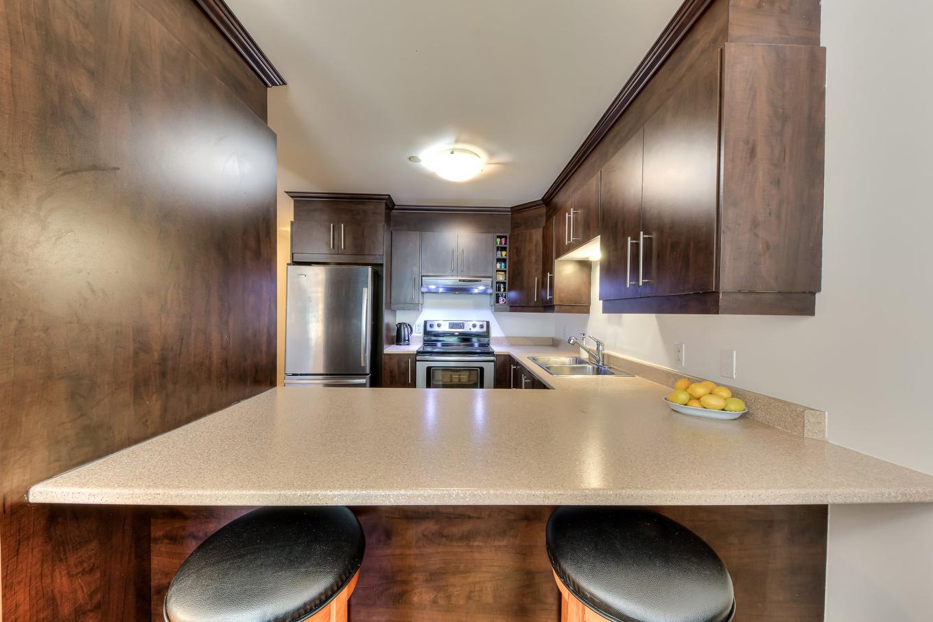 Cuisine - 103-17775 Boul. De Pierrefonds, Montréal (Pierrefonds-Roxboro), QC - Indoor Photo Showing Kitchen With Double Sink