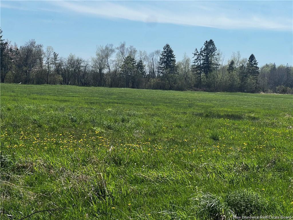 Lot 25-2 Old Mill Road, Shediac Bridge, NB