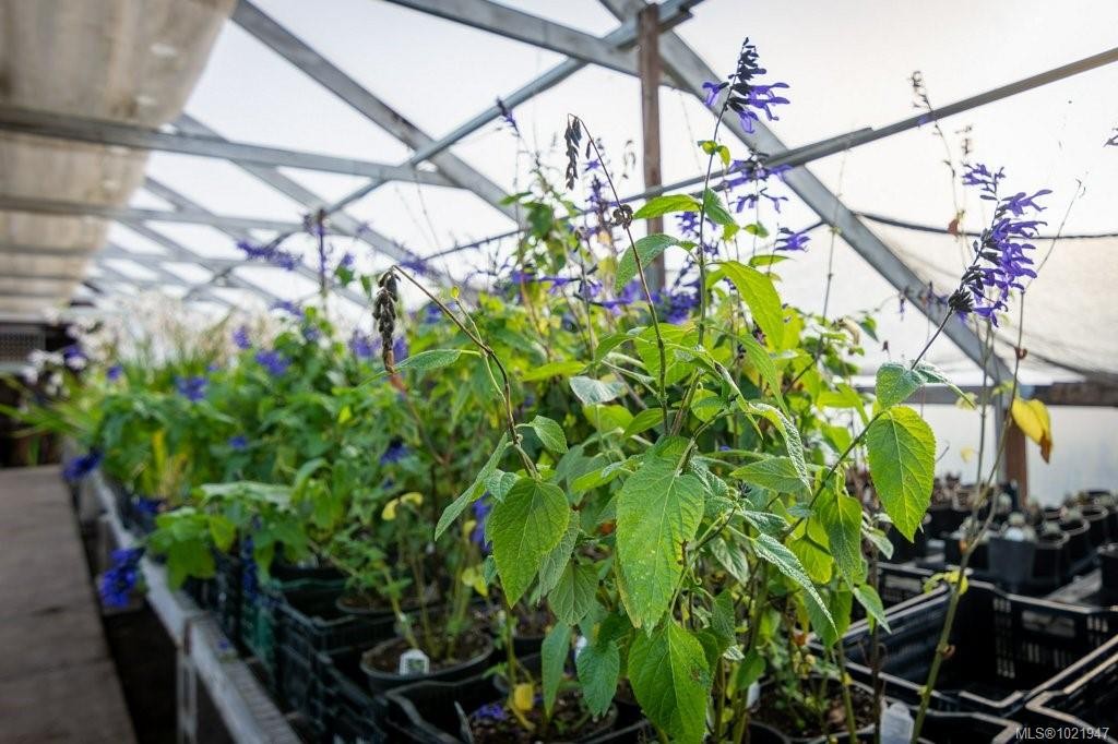 2012 Anderton Rd, Comox, BC