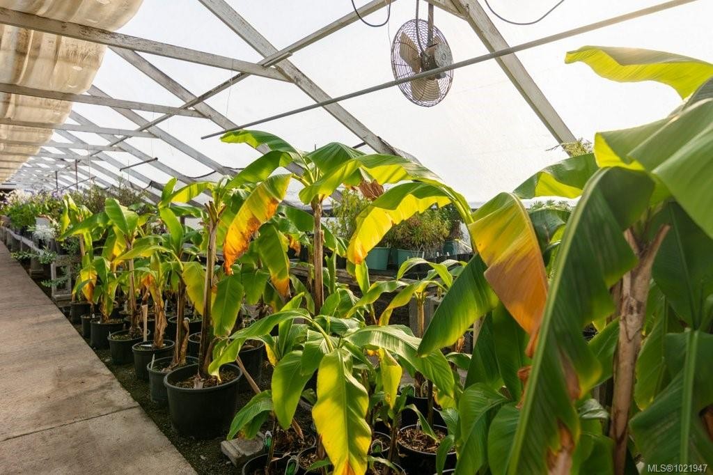 2012 Anderton Rd, Comox, BC