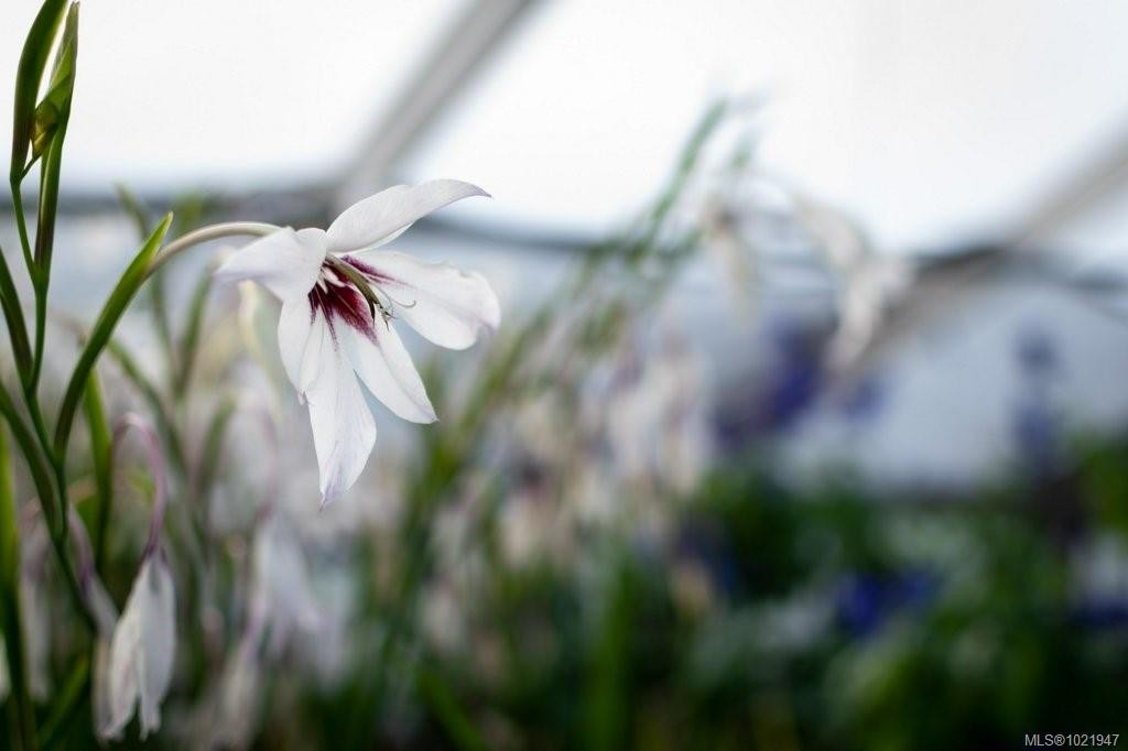 2012 Anderton Rd, Comox, BC