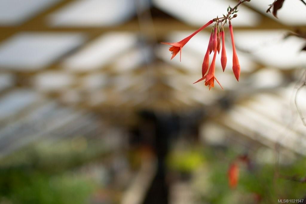 2012 Anderton Rd, Comox, BC