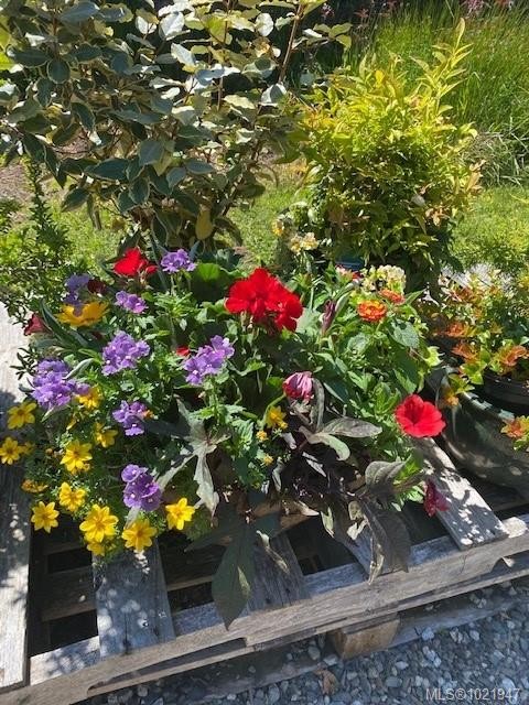 2012 Anderton Rd, Comox, BC