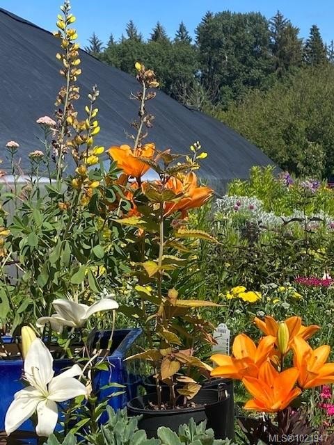 2012 Anderton Rd, Comox, BC