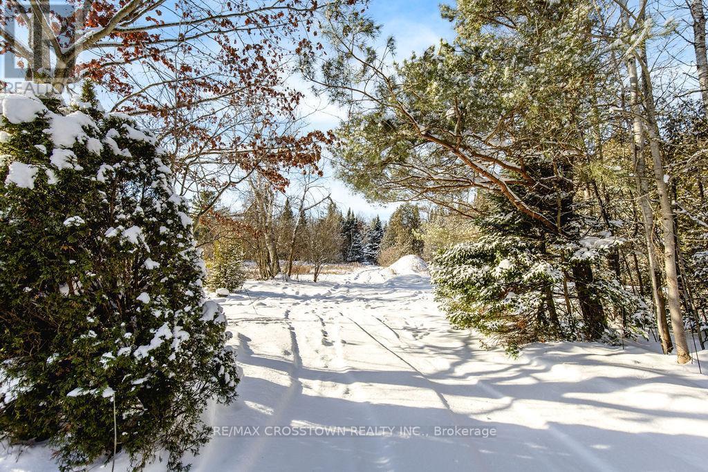 12036 County Rd 27, Springwater, ON - Outdoor With View