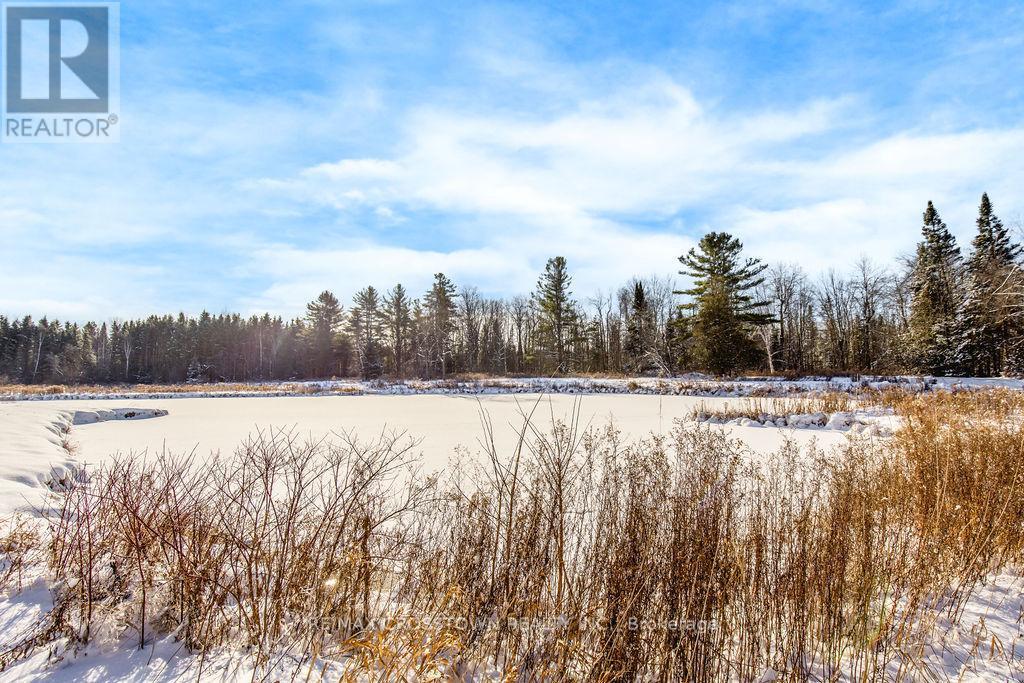 12036 County Rd 27, Springwater, ON - Outdoor With View